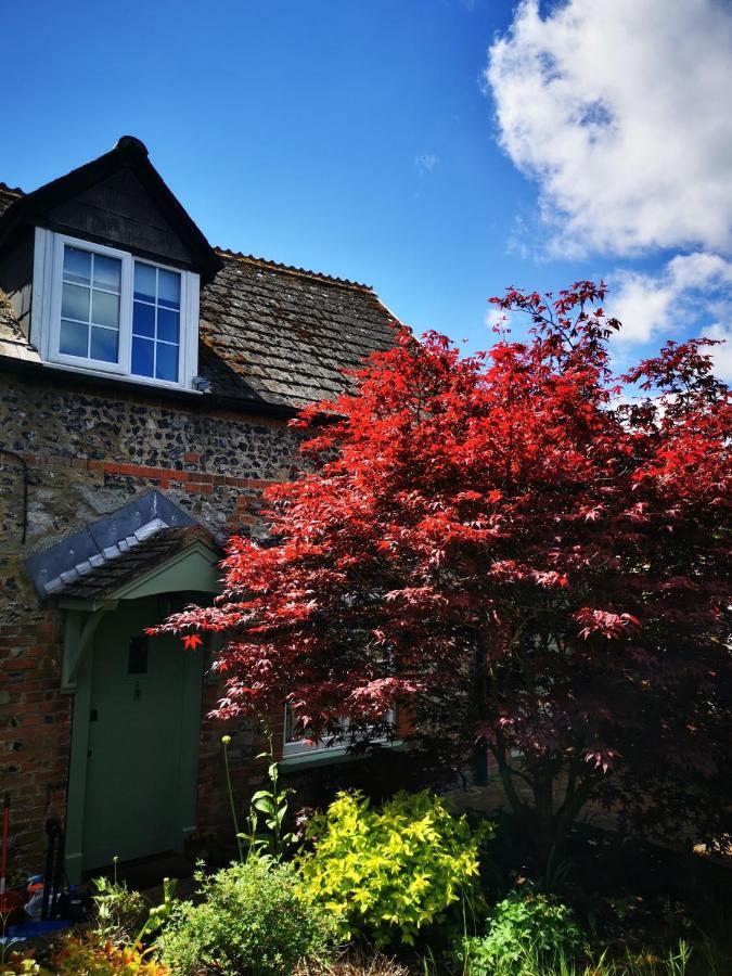 Historic, Traditional & Spacious Wiltshire Cottage Shrewton Esterno foto